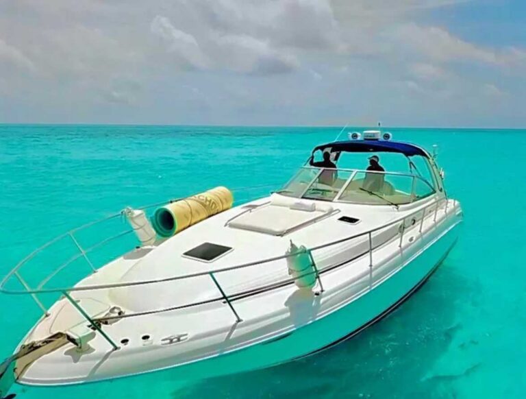 2002 sea ray 410 sundancer 42ft